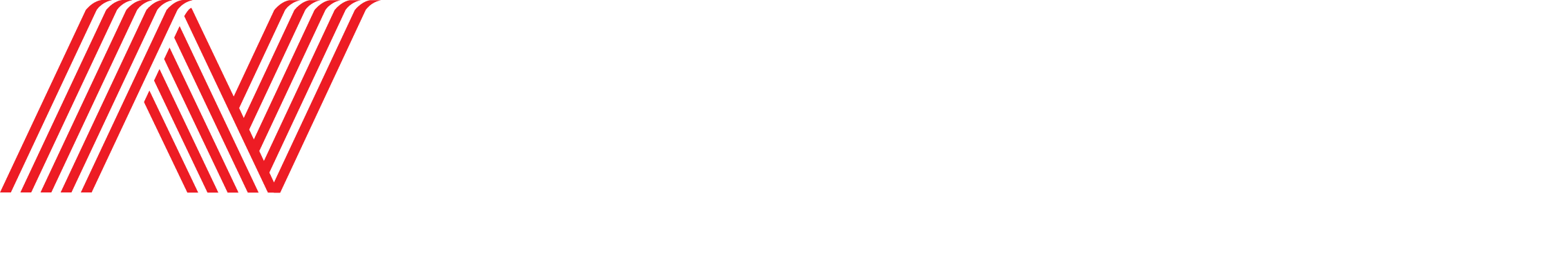 Nankang logo